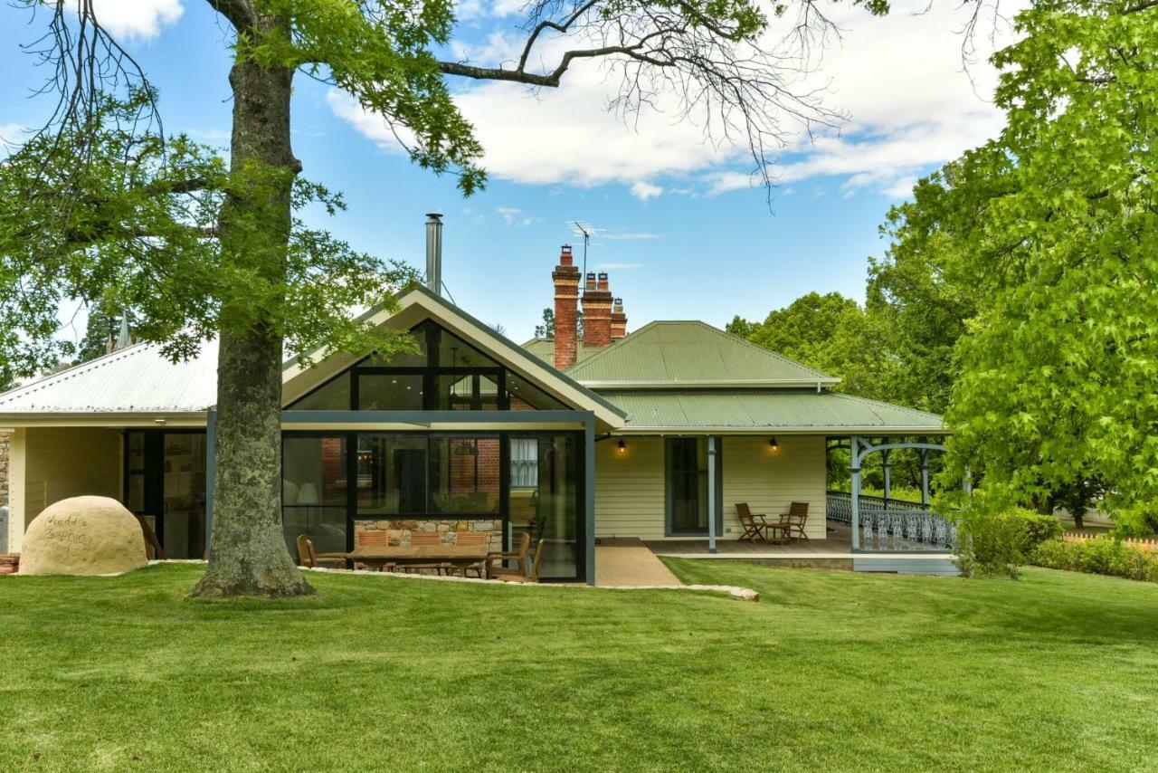 Elm Tree Beechworth